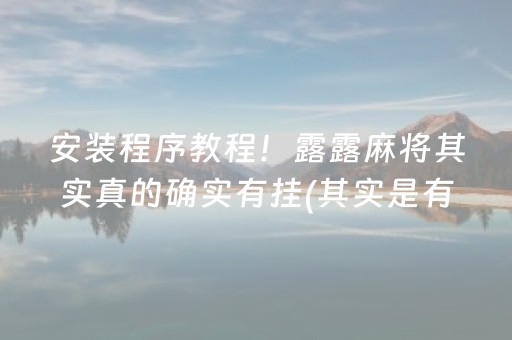 安装程序教程！露露麻将其实真的确实有挂(其实是有挂的)