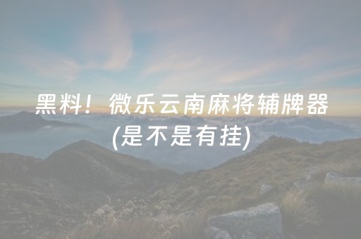 黑料！微乐云南麻将辅牌器(是不是有挂)