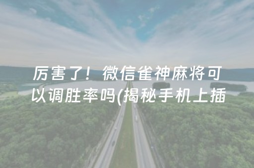 厉害了！微信雀神麻将可以调胜率吗(揭秘手机上插件购买)