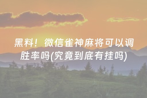 黑料！微信雀神麻将可以调胜率吗(究竟到底有挂吗)