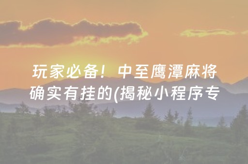 玩家必备！中至鹰潭麻将确实有挂的(揭秘小程序专用神器)