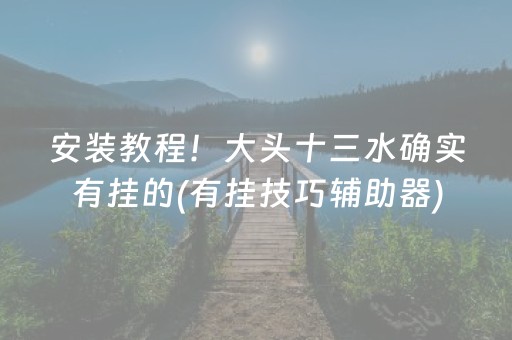 安装教程！大头十三水确实有挂的(有挂技巧辅助器)