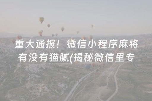 重大通报！微信小程序麻将有没有猫腻(揭秘微信里专用神器)