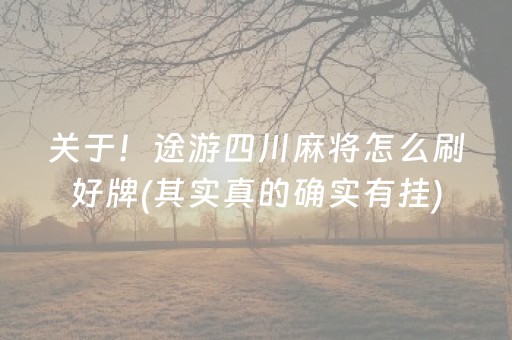 关于！途游四川麻将怎么刷好牌(其实真的确实有挂)