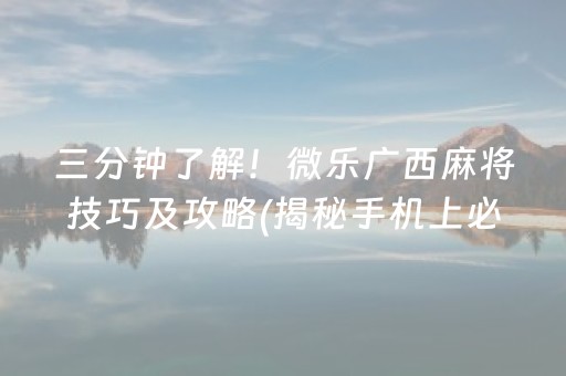 三分钟了解！微乐广西麻将技巧及攻略(揭秘手机上必备神器)
