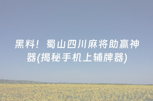 黑料！蜀山四川麻将助赢神器(揭秘手机上辅牌器)