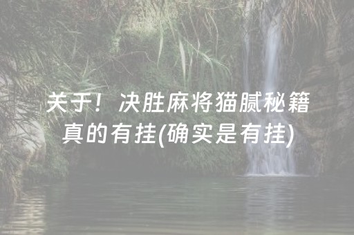 关于！决胜麻将猫腻秘籍真的有挂(确实是有挂)