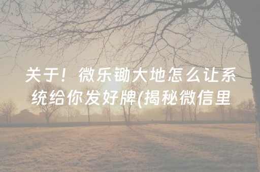 关于！微乐锄大地怎么让系统给你发好牌(揭秘微信里赢的秘诀)