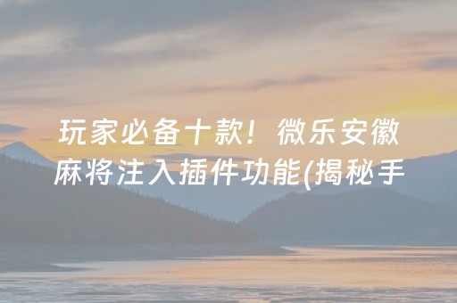 玩家必备十款！微乐安徽麻将注入插件功能(揭秘手机上专用神器下载)