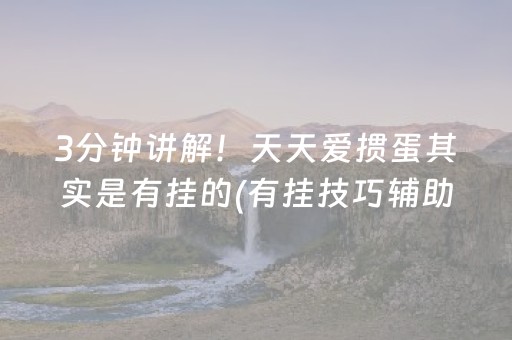 3分钟讲解！天天爱掼蛋其实是有挂的(有挂技巧辅助器)