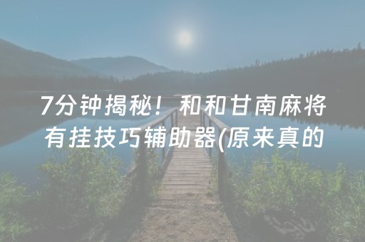 7分钟揭秘！和和甘南麻将有挂技巧辅助器(原来真的有挂)