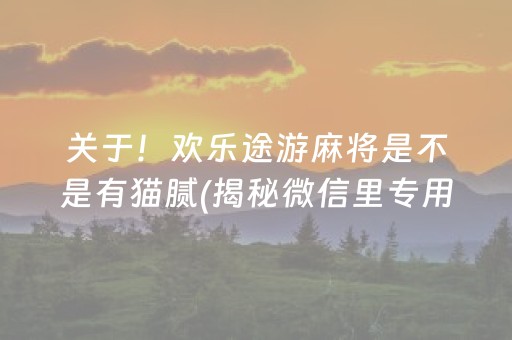 关于！欢乐途游麻将是不是有猫腻(揭秘微信里专用神器)