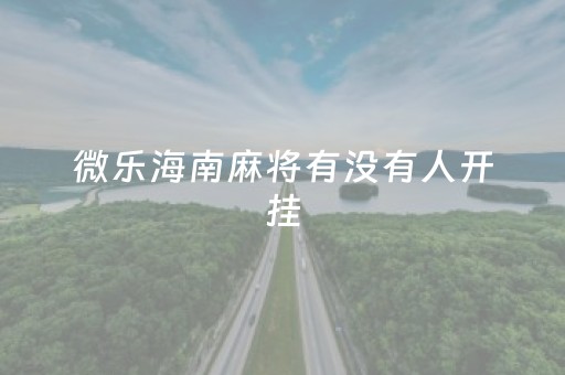微乐海南麻将有没有人开挂（微乐海南麻将开挂应用）