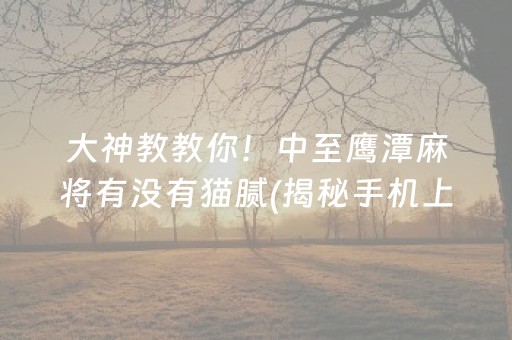 大神教教你！中至鹰潭麻将有没有猫腻(揭秘手机上插件下载)