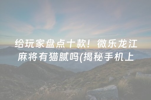 给玩家盘点十款！微乐龙江麻将有猫腻吗(揭秘手机上专用神器下载)