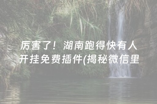 厉害了！湖南跑得快有人开挂免费插件(揭秘微信里赢牌技巧)