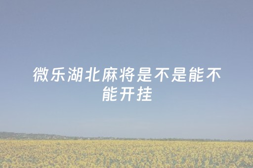 微乐湖北麻将是不是能不能开挂（微乐湖北麻将怎么开挂）
