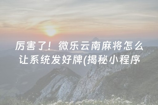 厉害了！微乐云南麻将怎么让系统发好牌(揭秘小程序助赢神器购买)