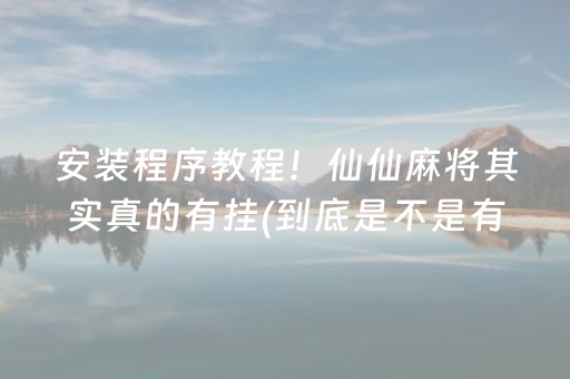 安装程序教程！仙仙麻将其实真的有挂(到底是不是有挂)