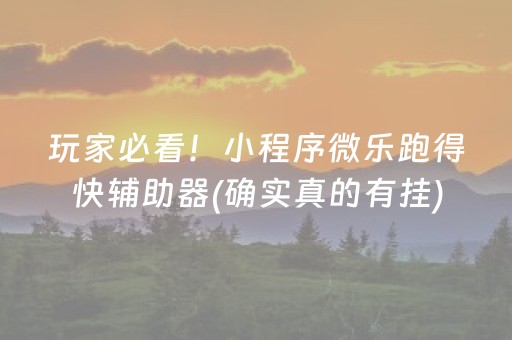 玩家必看！小程序微乐跑得快辅助器(确实真的有挂)