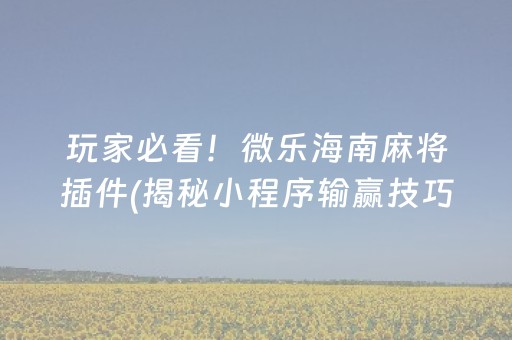 玩家必看！微乐海南麻将插件(揭秘小程序输赢技巧)