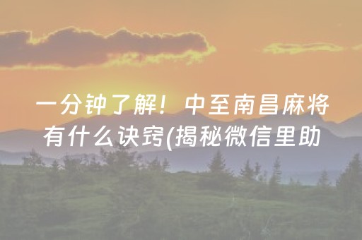 一分钟了解！中至南昌麻将有什么诀窍(揭秘微信里助攻神器)