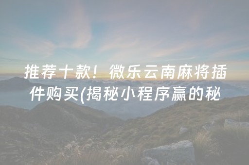 推荐十款！微乐云南麻将插件购买(揭秘小程序赢的秘诀)