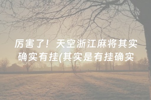 厉害了！天空浙江麻将其实确实有挂(其实是有挂确实有挂)