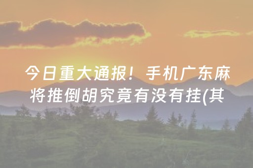 今日重大通报！手机广东麻将推倒胡究竟有没有挂(其实真的有挂)