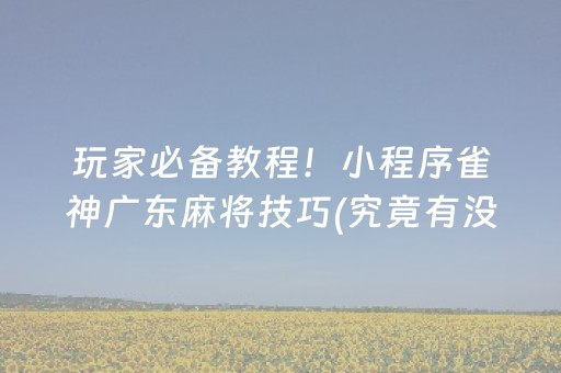 玩家必备教程！小程序雀神广东麻将技巧(究竟有没有挂)