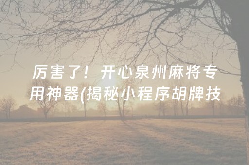 厉害了！开心泉州麻将专用神器(揭秘小程序胡牌技巧)