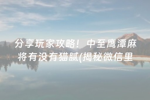 分享玩家攻略！中至鹰潭麻将有没有猫腻(揭秘微信里最新神器下载)