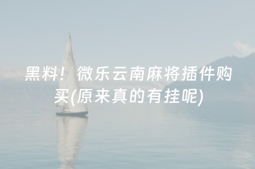 黑料！微乐云南麻将插件购买(原来真的有挂呢)