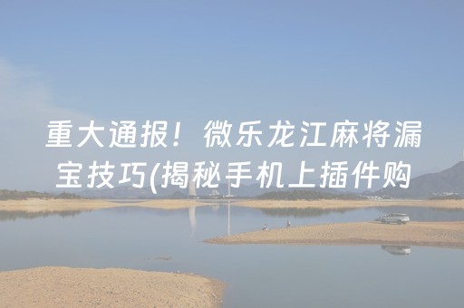 重大通报！微乐龙江麻将漏宝技巧(揭秘手机上插件购买)