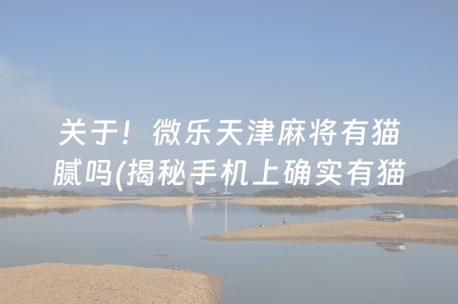 关于！微乐天津麻将有猫腻吗(揭秘手机上确实有猫腻)