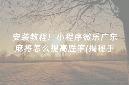 安装教程！小程序微乐广东麻将怎么提高胜率(揭秘手机上输赢规律)