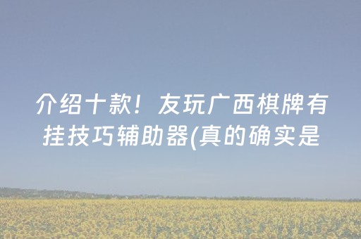 介绍十款！友玩广西棋牌有挂技巧辅助器(真的确实是有挂)