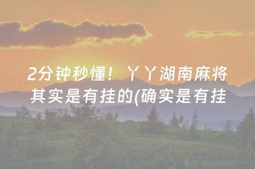2分钟秒懂！丫丫湖南麻将其实是有挂的(确实是有挂)