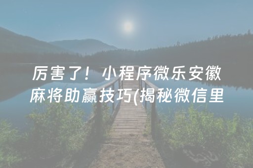 厉害了！小程序微乐安徽麻将助赢技巧(揭秘微信里攻略插件)