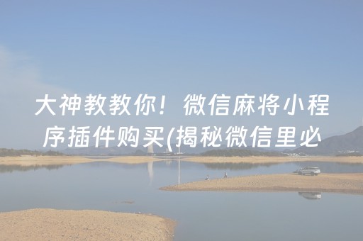 大神教教你！微信麻将小程序插件购买(揭秘微信里必备神器)