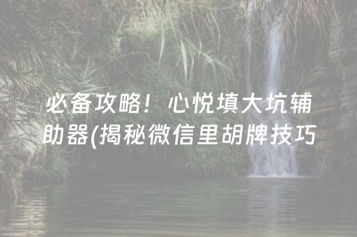 必备攻略！心悦填大坑辅助器(揭秘微信里胡牌技巧)