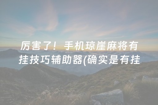厉害了！手机琼崖麻将有挂技巧辅助器(确实是有挂)
