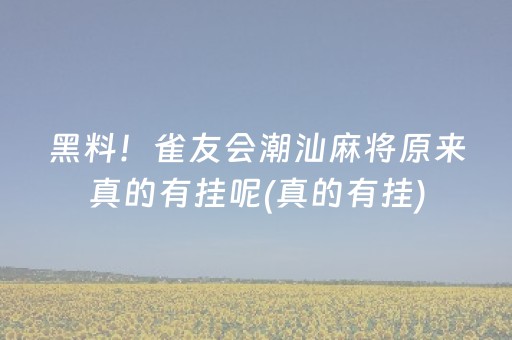 黑料！雀友会潮汕麻将原来真的有挂呢(真的有挂)