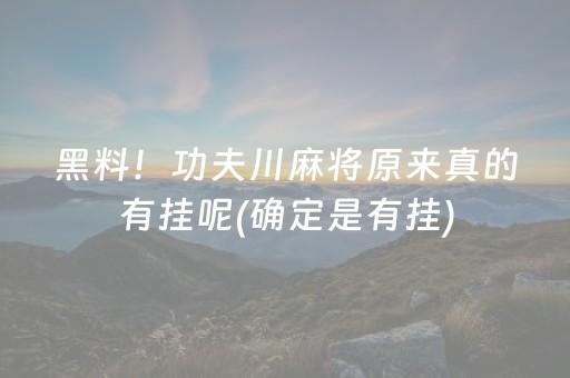 黑料！功夫川麻将原来真的有挂呢(确定是有挂)