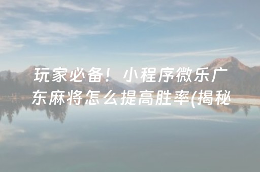 玩家必备！小程序微乐广东麻将怎么提高胜率(揭秘微信里必备神器)