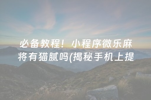 必备教程！小程序微乐麻将有猫腻吗(揭秘手机上提高胜率)