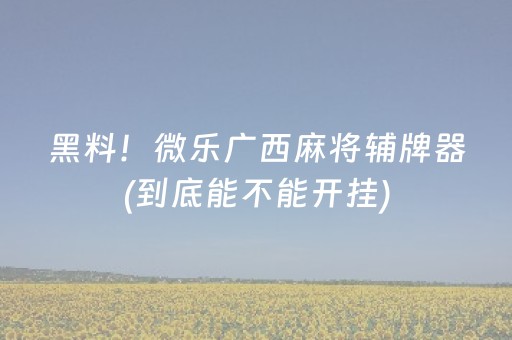 黑料！微乐广西麻将辅牌器(到底能不能开挂)