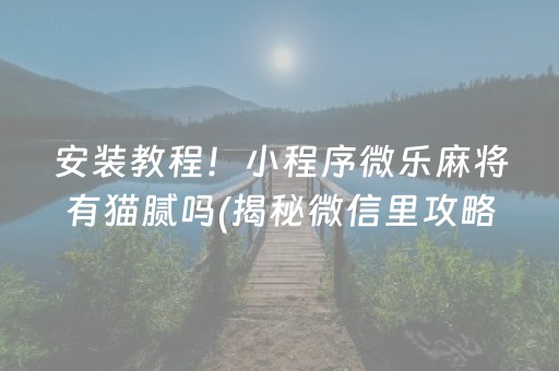 安装教程！小程序微乐麻将有猫腻吗(揭秘微信里攻略插件)