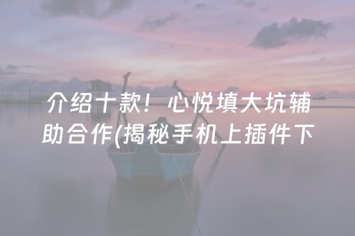 介绍十款！心悦填大坑辅助合作(揭秘手机上插件下载)