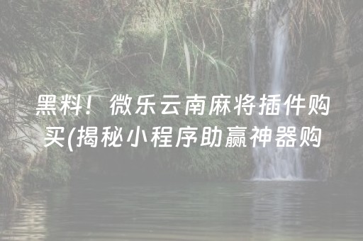 黑料！微乐云南麻将插件购买(揭秘小程序助赢神器购买)
